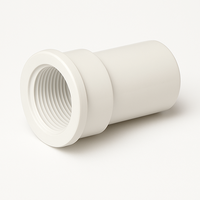 PVC Faucet socket 32mm x 32mm (1 1/4&quot; x 1 1/4&quot;) BSPF