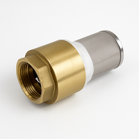 Valve Foot (SCREEN ONLY) 50mm (2")
