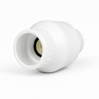PVC Swing Check Valve 15mm