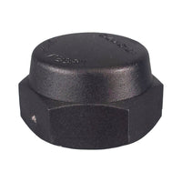 Poly Cap Threaded BSP 25mm (1")