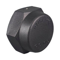 Poly Cap Threaded BSP 25mm (1")