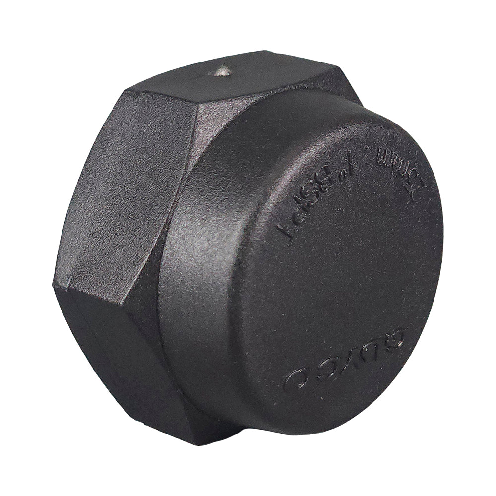 Poly Cap Threaded BSP 80mm (3")