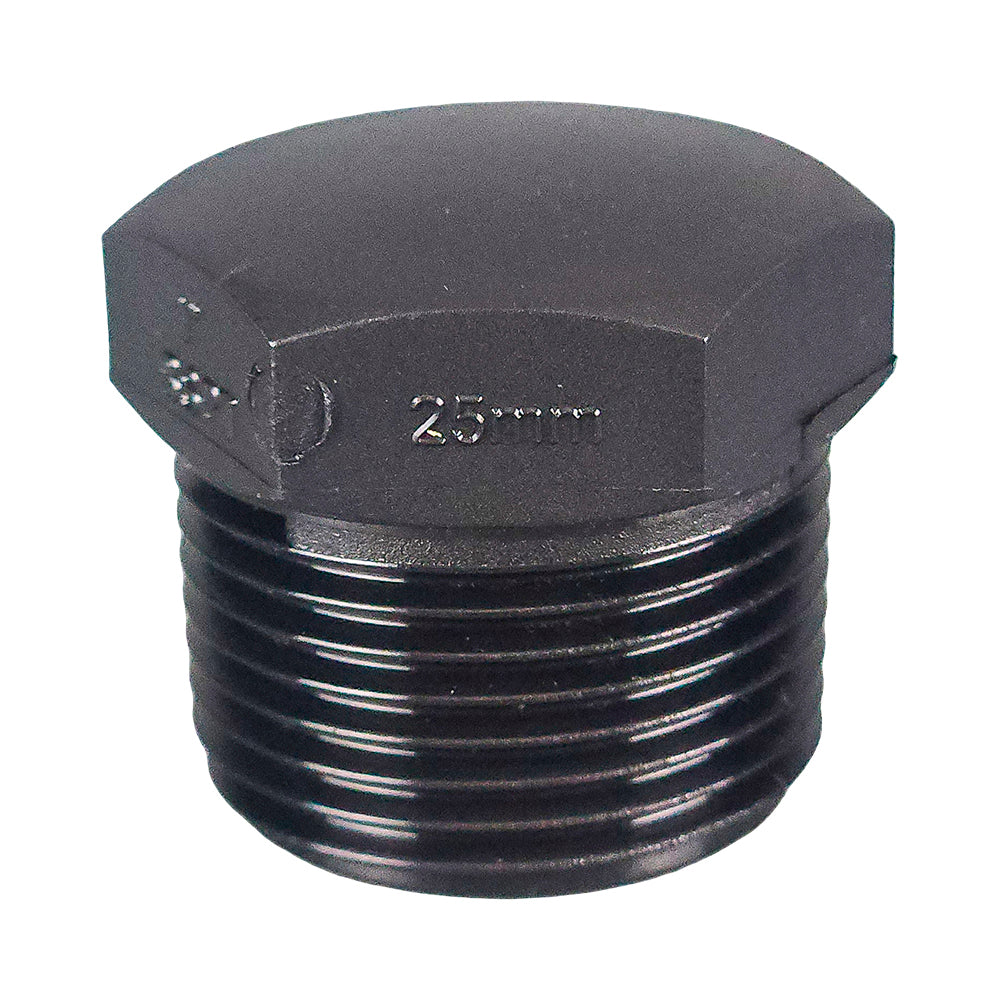 Poly Plug 20mm (3/4")
