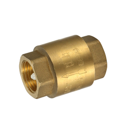 Valves Brass In-Line Spring Check 20 mm