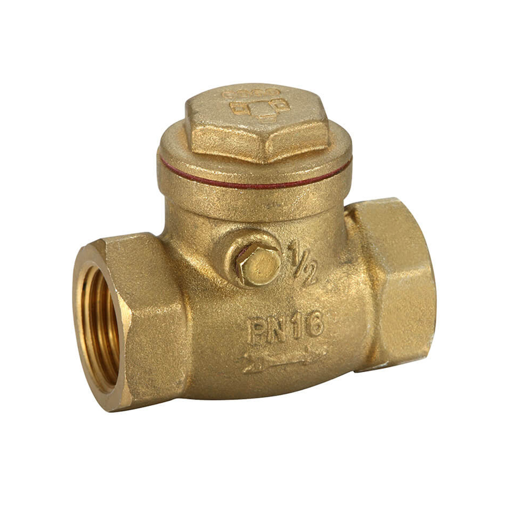 Brass Swing Check Valve 80mm BSP
