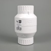 PVC Swing Check Valve 15mm